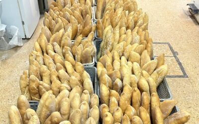 El Gremio de Panaderos y Pasteleros de Valencia dona más de 600.000 euros en barras de pan y bollería a las zonas afectadas por la DANA