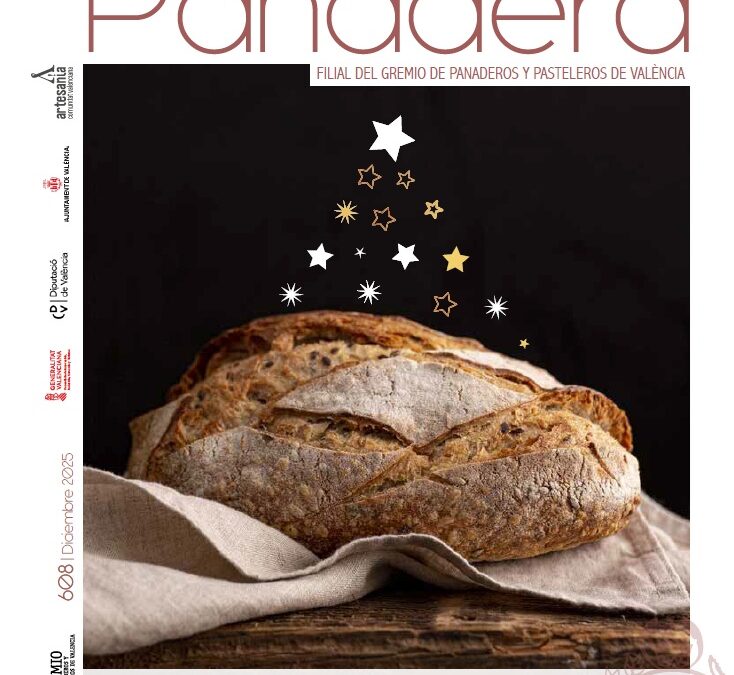 Revista 608