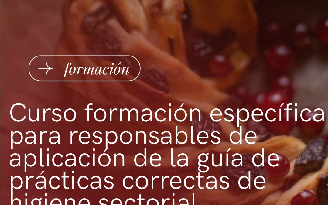 CURSO APLICACIÓN NUEVA GUÍA SANIDAD