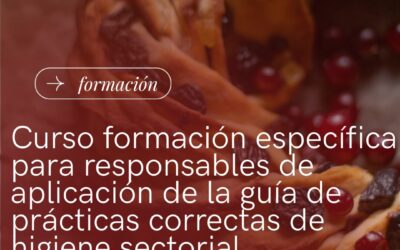 CURSO ESPECÍFICO PARA RESPONSABLES DE APLICACIÓN DE LA GUÍA DE PRÁCTICAS CORRECTAS DE HIGUIENE SECTORIAL
