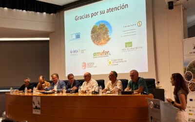 El Gremio reivindica una mayor divulgación para impulsar el consumo de algarroba